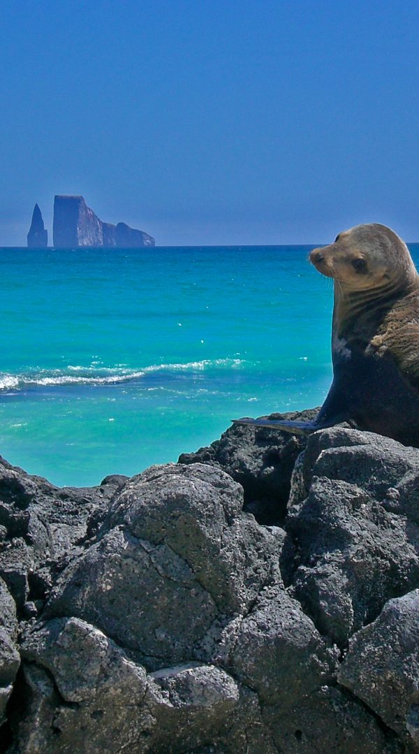 Patrimonio_Galapagos-p Patrimonio_Galapagos-p