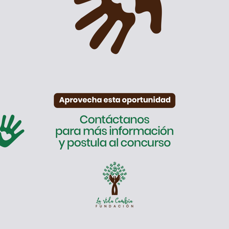 becas vas 1